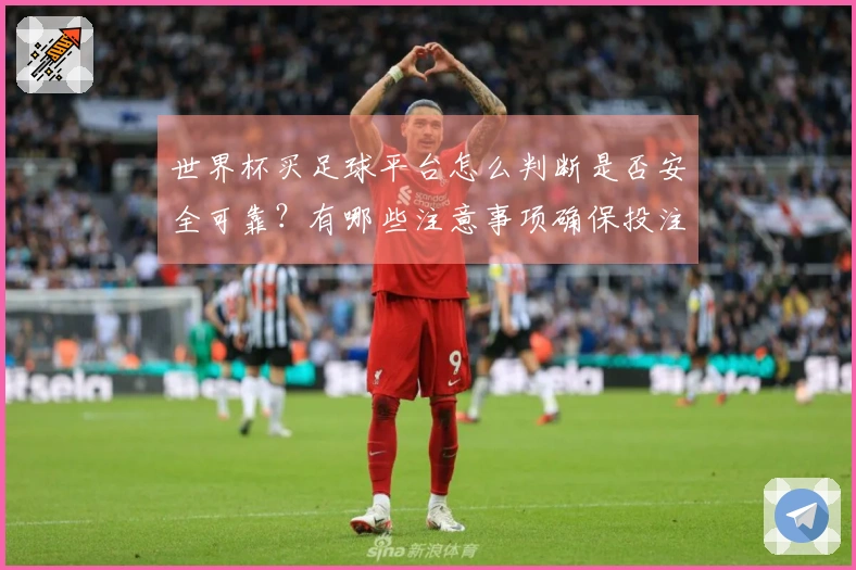 世界杯买足球平台怎么判断是否安全可靠？有哪些注意事项确保投注放心