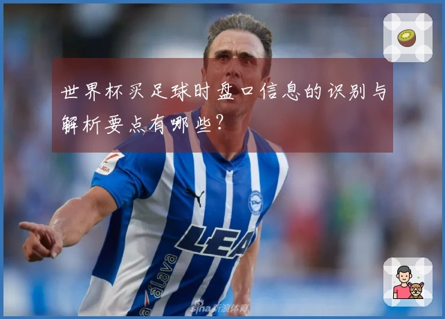 世界杯买足球时盘口信息的识别与解析要点有哪些？