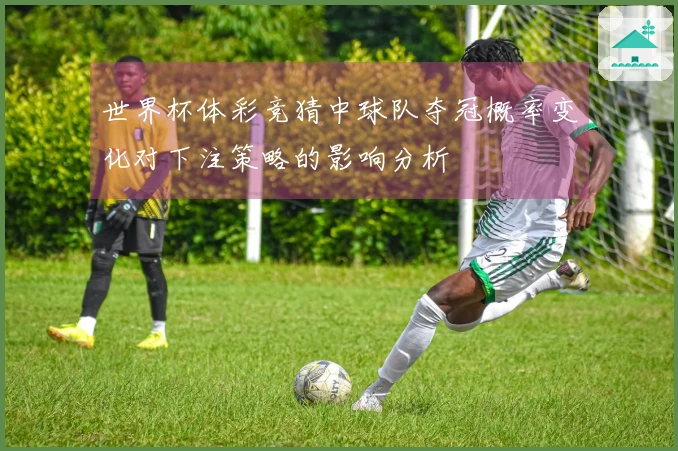 世界杯体彩竞猜中球队夺冠概率变化对下注策略的影响分析