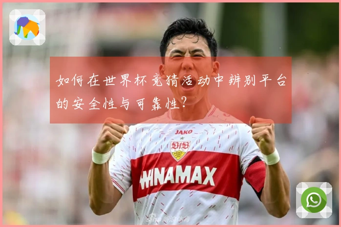 如何在世界杯竞猜活动中辨别平台的安全性与可靠性？