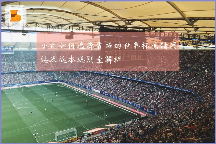 小白如何选择靠谱的世界杯竞猜网站及返水规则全解析
