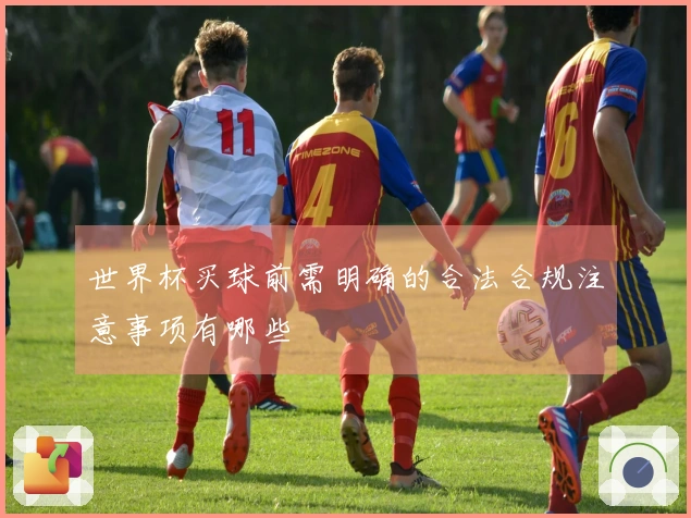 世界杯买球前需明确的合法合规注意事项有哪些