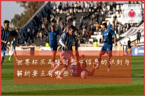 世界杯买足球时盘口信息的识别与解析要点有哪些？